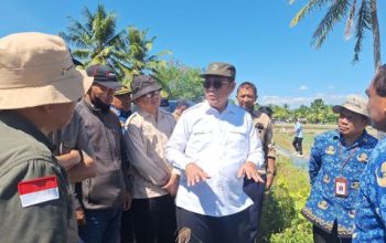 Staf Ahli Mentan Sam Herodian Tinjau Langsung Percepatan Swasembada Pangan di Kabupaten Kupang