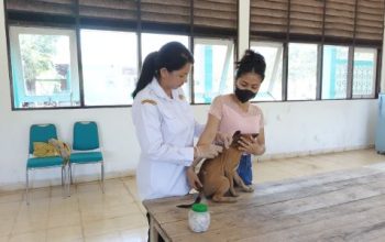 Cegah Penyebaran Rabies di Provinsi NTT, UPT Pelatihan Kementan Gelar Vaksin Gratis